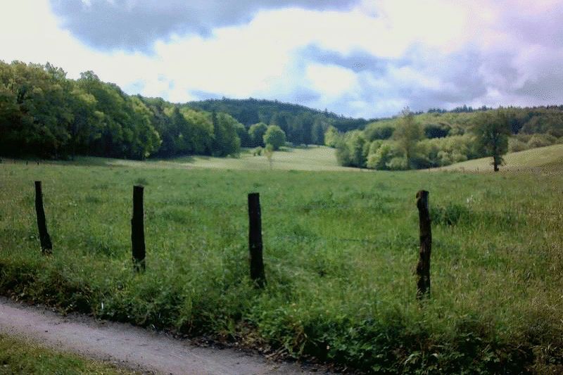 Photo 27 Ref 10125